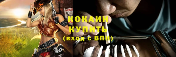 каннабис Новозыбков