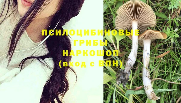 каннабис Новозыбков